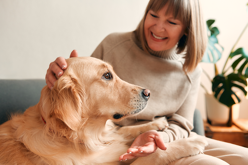 Beautiful aged woman sitting on sofa with her dog in cozy living room and having fun. 